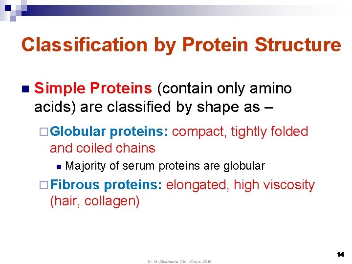 Classification by Protein Structure n Simple Proteins (contain only amino acids) are classified by