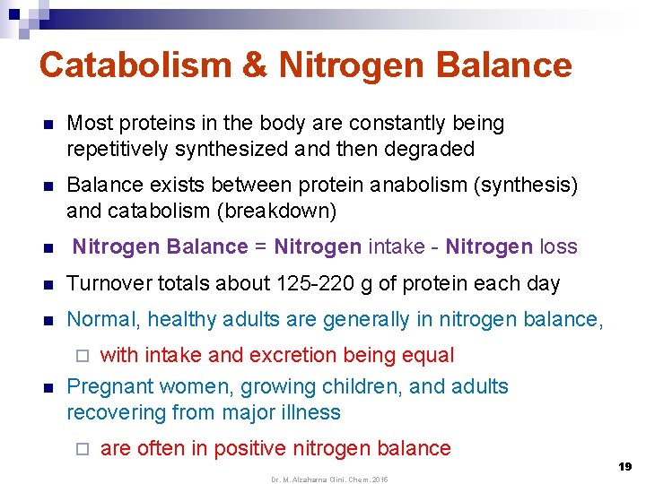 Catabolism & Nitrogen Balance n Most proteins in the body are constantly being repetitively