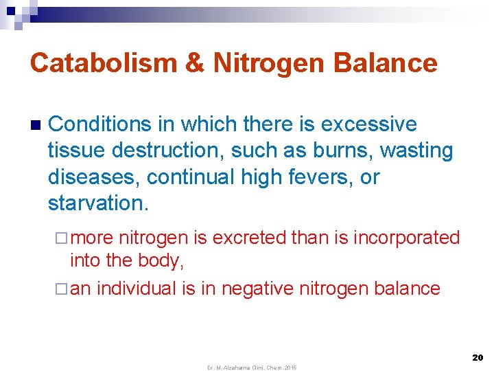 Catabolism & Nitrogen Balance n Conditions in which there is excessive tissue destruction, such