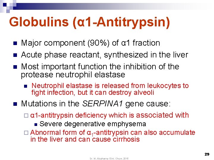 Globulins (α 1 -Antitrypsin) n n n Major component (90%) of α 1 fraction