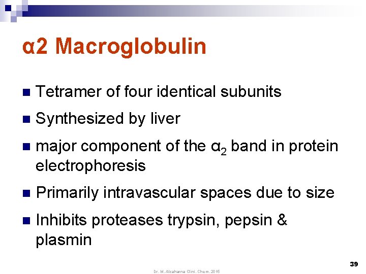 α 2 Macroglobulin n Tetramer of four identical subunits n Synthesized by liver n