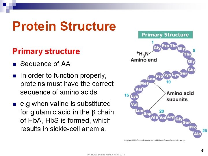 Protein Structure Primary structure n Sequence of AA n In order to function properly,