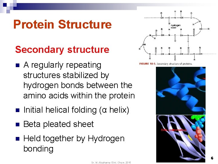 Protein Structure Secondary structure n A regularly repeating structures stabilized by hydrogen bonds between