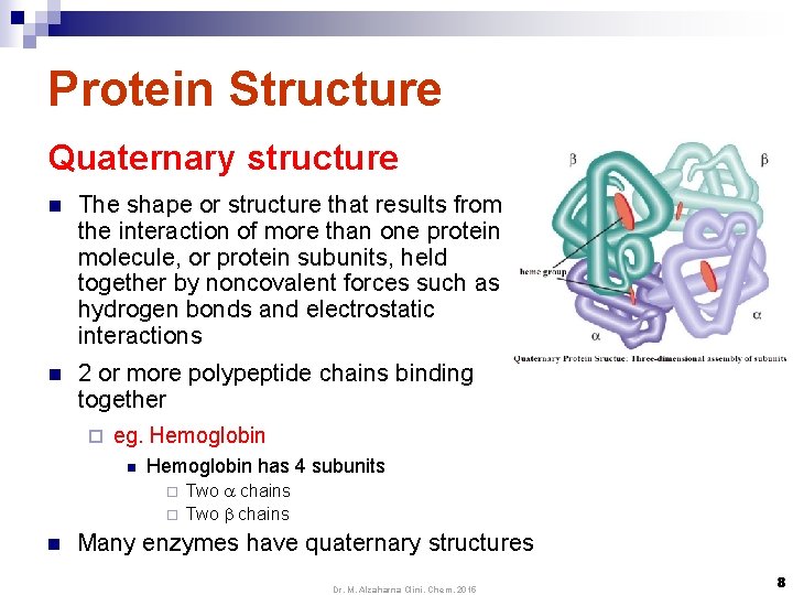 Protein Structure Quaternary structure n The shape or structure that results from the interaction