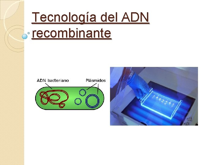 Tecnología del ADN recombinante 