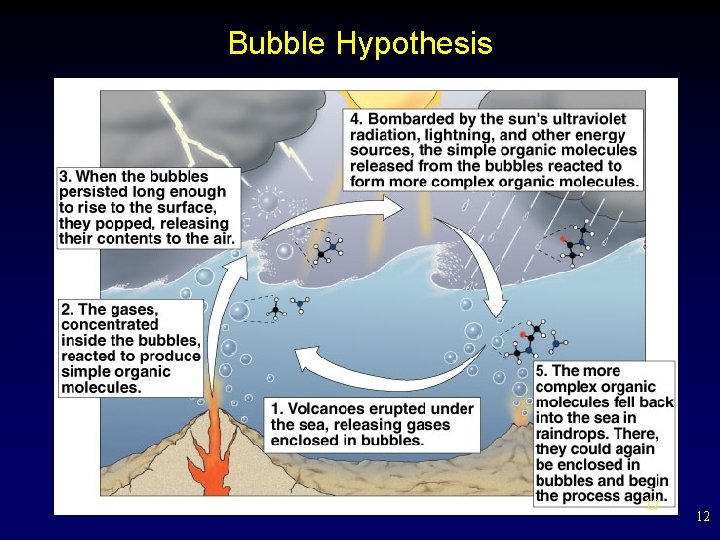 Bubble Hypothesis 12 12 