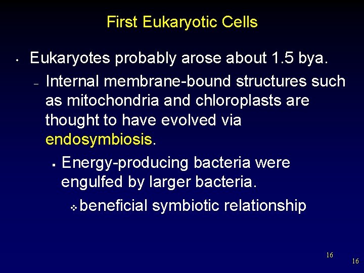 First Eukaryotic Cells • Eukaryotes probably arose about 1. 5 bya. – Internal membrane-bound