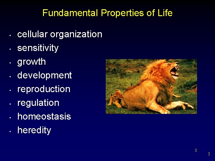 Fundamental Properties of Life • • cellular organization sensitivity growth development reproduction regulation homeostasis