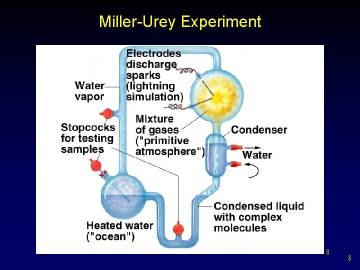 Miller-Urey Experiment 8 8 