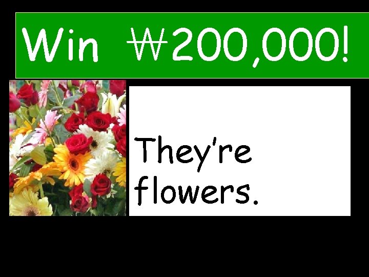 Win ￦ 200, 000! What are They’re these? flowers. 