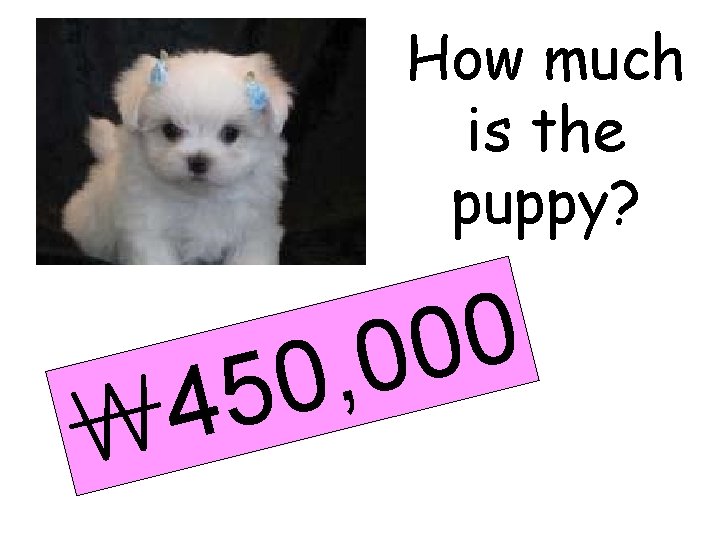 How much is the puppy? 4 ￦ 0 0 0 , 50 