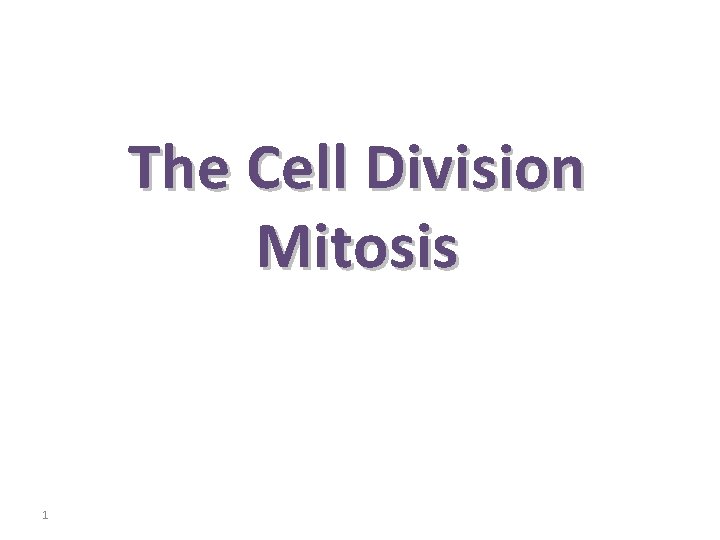 The Cell Division Mitosis 1 