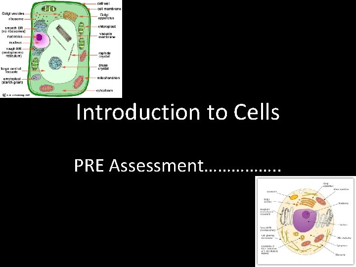 Introduction to Cells PRE Assessment……………. . 