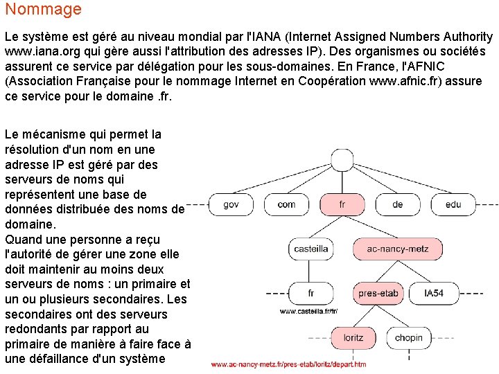 Nommage Le système est géré au niveau mondial par l'IANA (Internet Assigned Numbers Authority