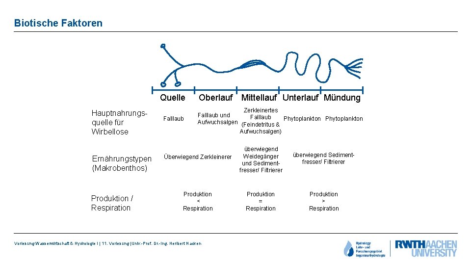 Biotische Faktoren Hauptnahrungsquelle für Wirbellose Ernährungstypen (Makrobenthos) Produktion / Respiration Quelle Oberlauf Mittellauf Unterlauf