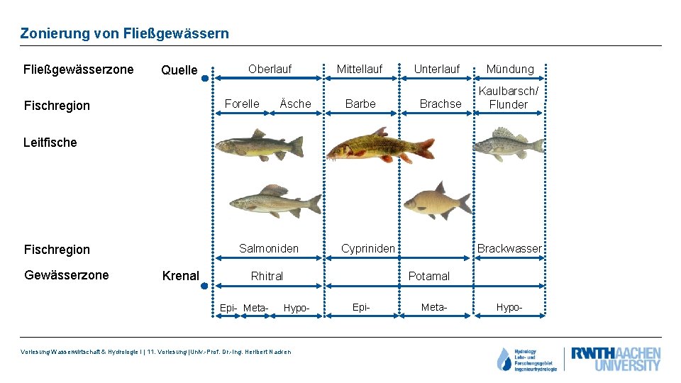 Zonierung von Fließgewässerzone Quelle Oberlauf Forelle Fischregion Äsche Mittellauf Barbe Unterlauf Brachse Mündung Kaulbarsch/