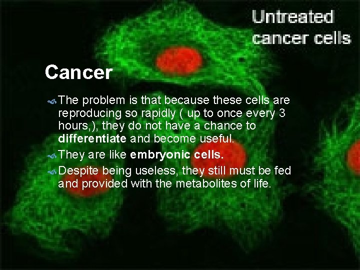 Cancer The problem is that because these cells are reproducing so rapidly ( up