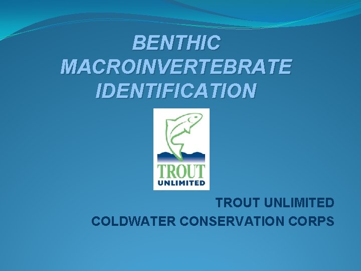 BENTHIC MACROINVERTEBRATE IDENTIFICATION TROUT UNLIMITED COLDWATER CONSERVATION CORPS 