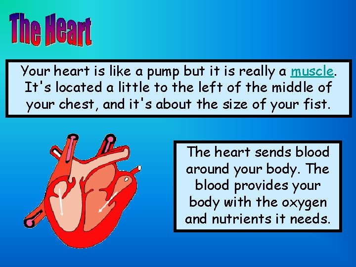 Your heart is like a pump but it is really a muscle. It's located