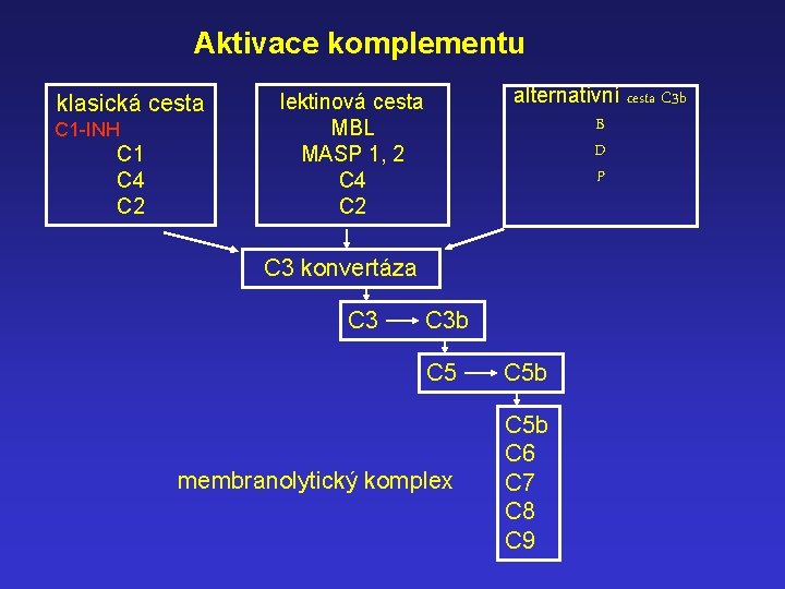 Aktivace komplementu klasická cesta C 1 -INH C 1 C 4 C 2 alternativní