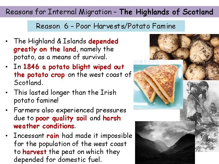 Reasons for Internal Migration – The Highlands of Scotland Reason 6 – Poor Harvests/Potato