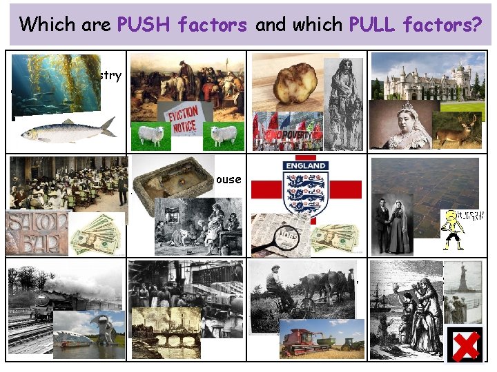 Which are PUSH factors and which PULL factors? Failure of the kelp & industry
