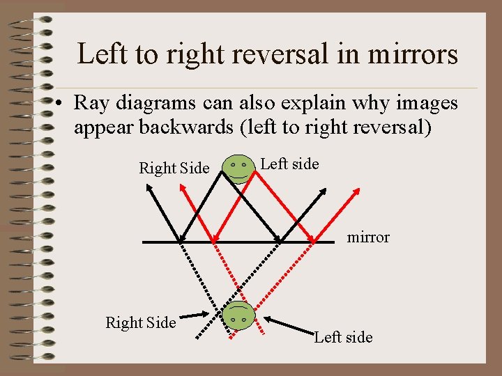 Left to right reversal in mirrors • Ray diagrams can also explain why images