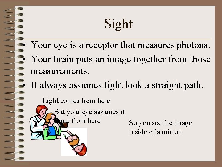 Sight • Your eye is a receptor that measures photons. • Your brain puts