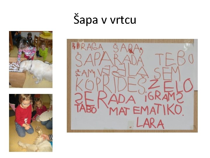 Šapa v vrtcu 