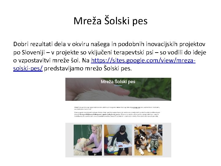Mreža Šolski pes Dobri rezultati dela v okviru našega in podobnih inovacijskih projektov po