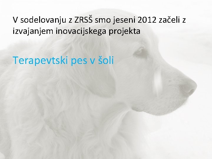 V sodelovanju z ZRSŠ smo jeseni 2012 začeli z izvajanjem inovacijskega projekta Terapevtski pes