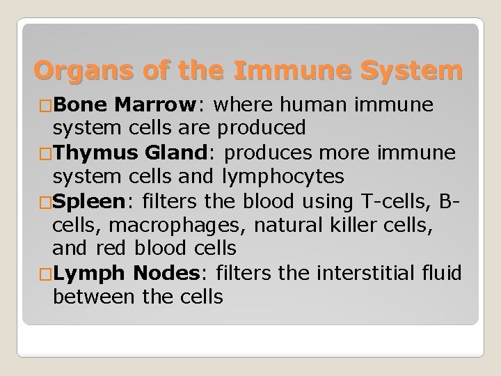 Organs of the Immune System �Bone Marrow: where human immune system cells are produced