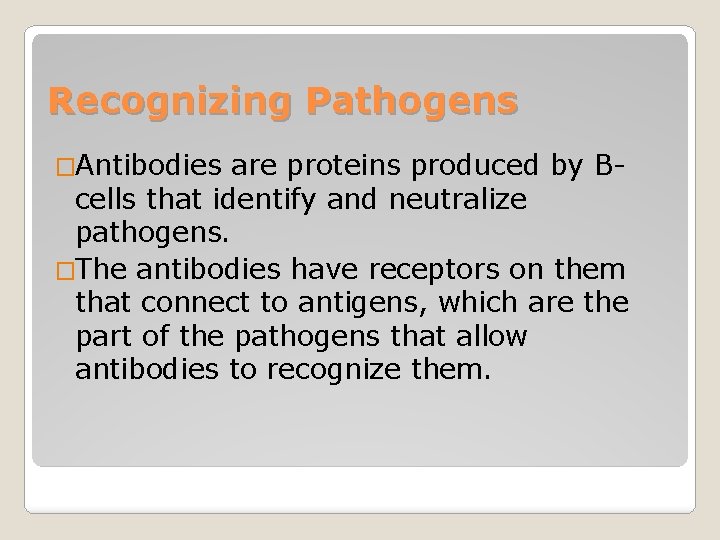 Recognizing Pathogens �Antibodies are proteins produced by Bcells that identify and neutralize pathogens. �The