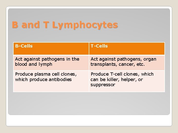 B and T Lymphocytes B-Cells T-Cells Act against pathogens in the blood and lymph