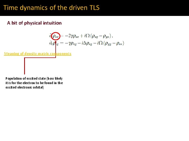 A bit of physical intuition Meaning of density matrix components Population of excited state