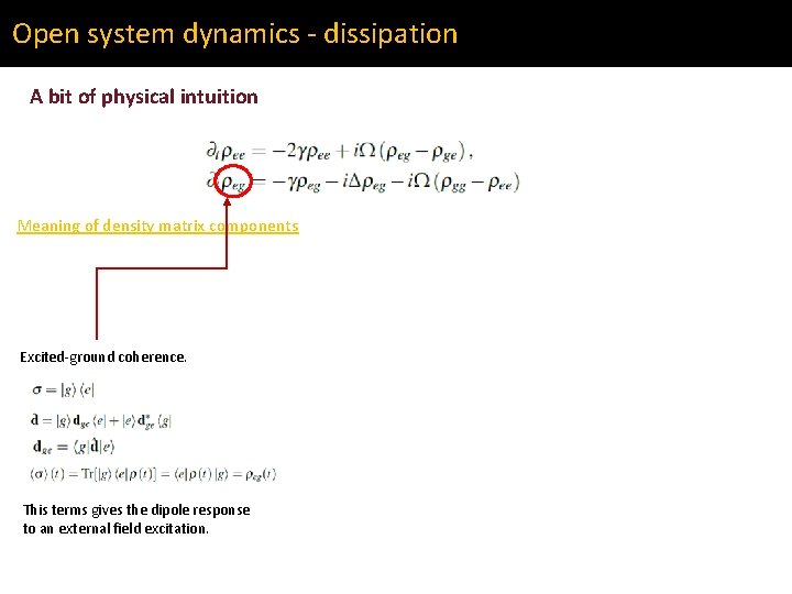 Open system dynamics - dissipation A bit of physical intuition Meaning of density matrix