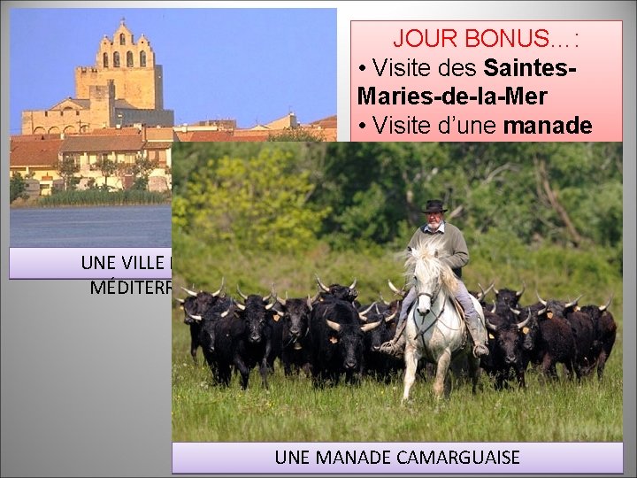 JOUR BONUS…: • Visite des Saintes. Maries-de-la-Mer • Visite d’une manade UNE VILLE MÉDIÉVALE