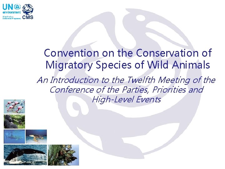 Convention on the Conservation of Migratory Species of Wild Animals An Introduction to the