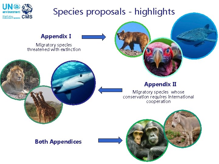 Species proposals - highlights Appendix I Migratory species threatened with extinction Appendix II Migratory