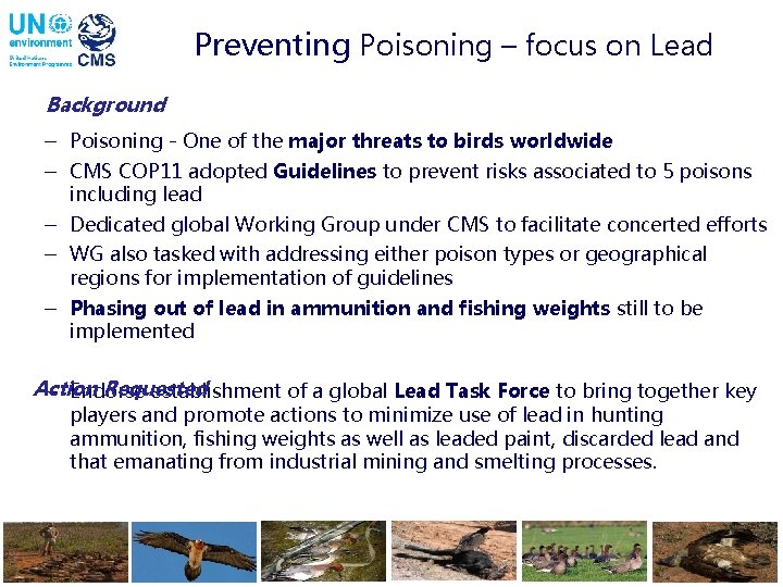 Preventing Poisoning – focus on Lead Background - Poisoning - One of the major