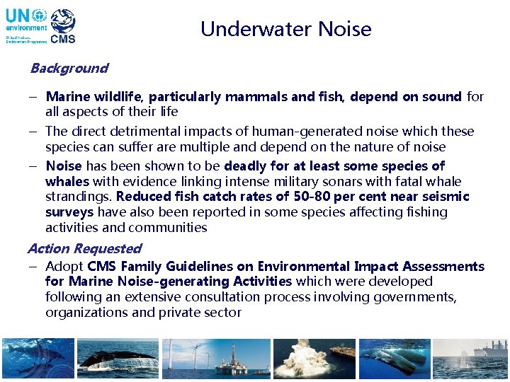Underwater Noise Background - Marine wildlife, particularly mammals and fish, depend on sound for