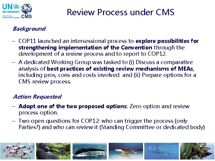 Review Process under CMS Background - COP 11 launched an intersessional process to explore