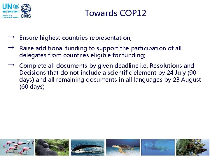 Towards COP 12 → Ensure highest countries representation; → Raise additional funding to support