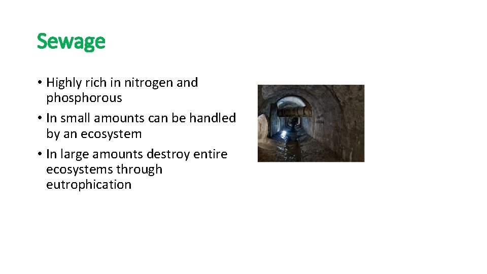 Sewage • Highly rich in nitrogen and phosphorous • In small amounts can be
