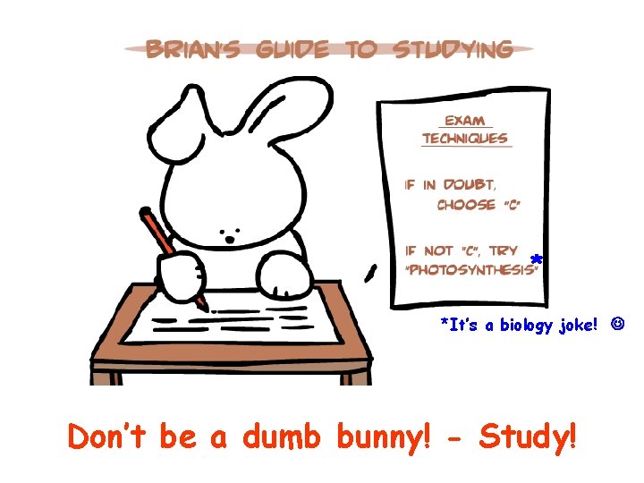 * *It’s a biology joke! Don’t be a dumb bunny! - Study! 