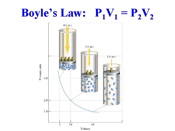 Boyle’s Law: P 1 V 1 = P 2 V 2 