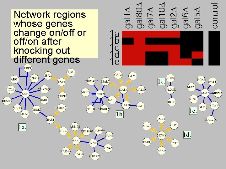 Network regions whose genes change on/off or off/on after knocking out different genes 