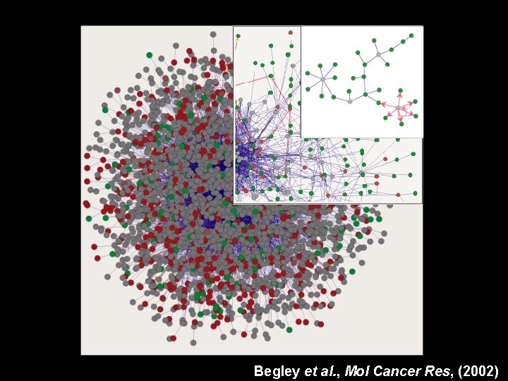 Begley et al. , Mol Cancer Res, (2002) 