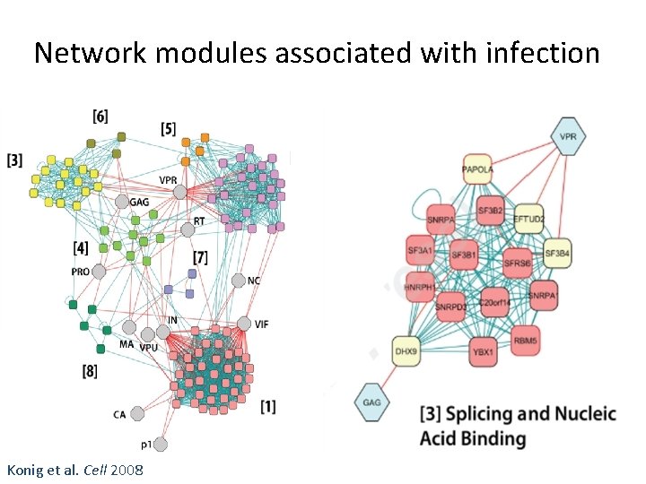 Network modules associated with infection Konig et al. Cell 2008 