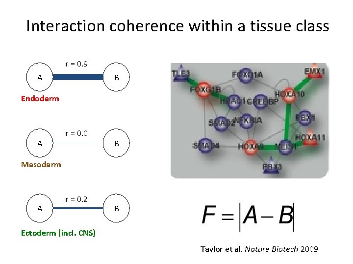 Interaction coherence within a tissue class r = 0. 9 A B Endoderm A